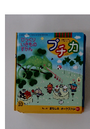 プチカ　2000　10