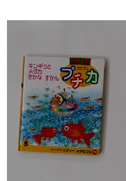 プチカ　2000　5