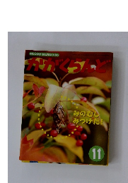 かがくらんど　11