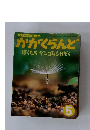 かがくらんど　ぼくたち ダンゴムシかぞく　