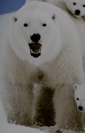 かがくらんど　2