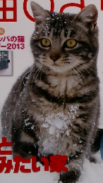 猫びより　2013年1月号