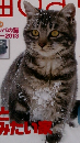 猫びより　2013年1月号