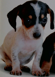 かがくらんど　3