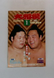 大相撲　1991年1月号