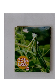 こどもとしぜん10