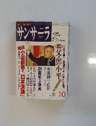 サンサーラ　1993　10