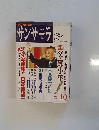 サンサーラ　1993　10