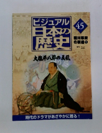 ビジュアル日本の歴史 45 大塩平八郎の反乱