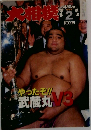 大相撲 1998 2