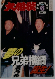 大相撲　1998年6月号