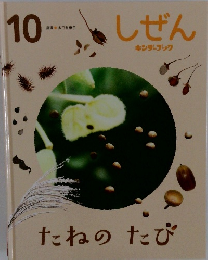  しぜん　10　 キンダーブック  たねのたび