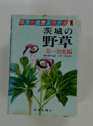 茨城の 野草 春~初夏編