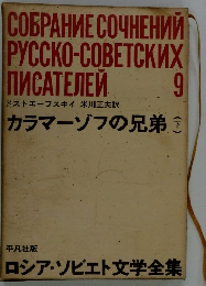 カラマーゾフの兄弟 下 