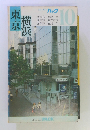 ブルーガイドパック　10　東京・横浜