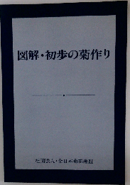 図解 初歩の菊作り