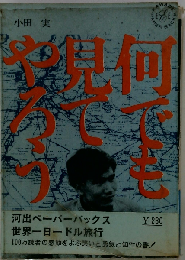 何でも見てやろうーカラー版