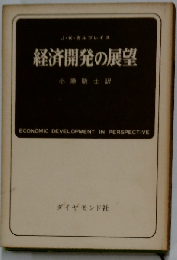 経済開発の展望