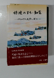 特攻のまち・知覚