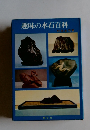 趣味の水石百科