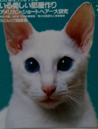 ねこ倶楽部　1997/7