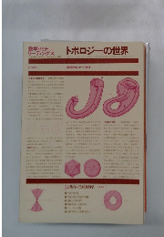 トポロジーの世界