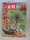盆栽　2005年11月号