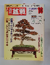 盆栽　2004年10月号