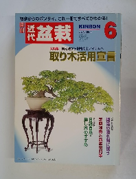 近代　盆栽　2004年6月号