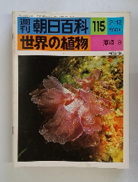 世界の植物 藻類 3　115