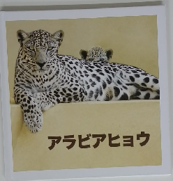 アラビアヒョウ　