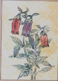 木曽の街道端から