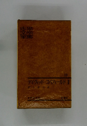 デイヴィッド・コバフィールドII　13