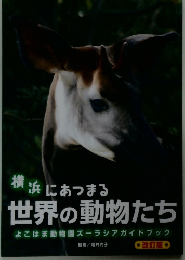 横浜にあつまる
世界の動物たち
