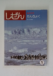 しぜん　１　なんきょく