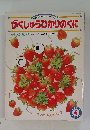 がくしゅうひかりのくに 4がつの たんけんしろ-みどり あか?