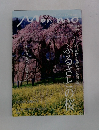 Monmo (モンモ)　ふるさとの桜