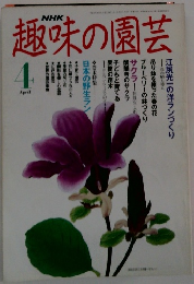 NHK趣味の園芸 平成3年 4月号