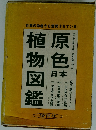 原色植物図鑑　