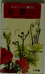 自然観察シリーズ 11 実用編　山菜（見分け方と料理法）
