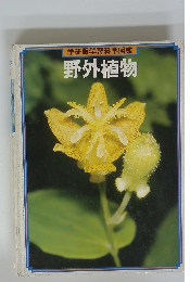 学研版学習科学図鑑野外植物
