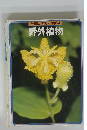 学研版学習科学図鑑野外植物