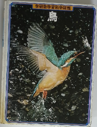 学研版学習科学図鑑　鳥