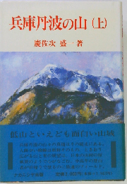 兵庫丹波の山 上