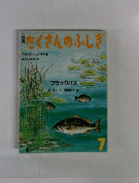 たくさんのふしぎ