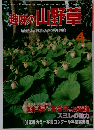 趣味の山野草　1984年4月号