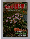 趣味の山野草　1984年5月号