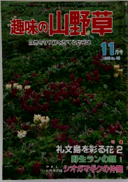 趣味の山野草　11月号