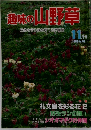趣味の山野草　11月号