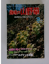 趣味の山野草　3月号